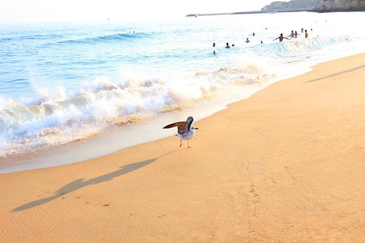Warm Yellow Albufeira Luaran gambar